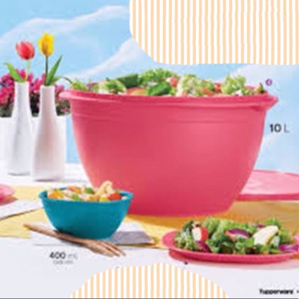 Tupperware Maxi Bowl 10 Liter/ 42 Cup